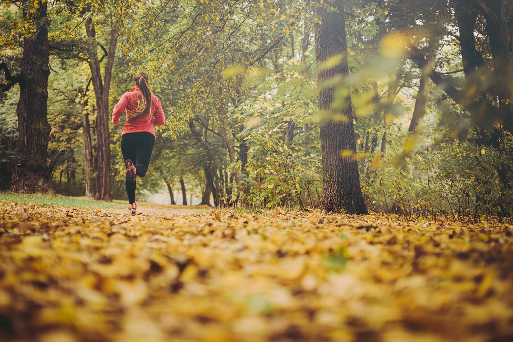 jogger in the forest in the fall
